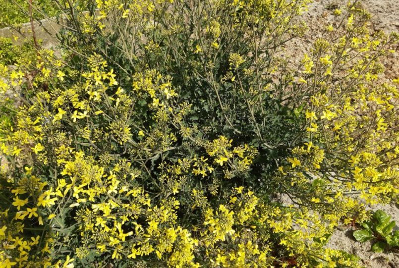 20230427_125829 (2).jpg