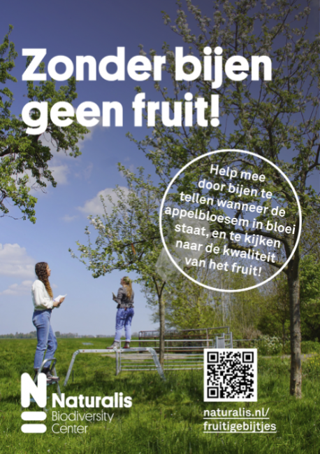 Poster A4 Fruitige Bijtjes onderzoek-120dpi.png