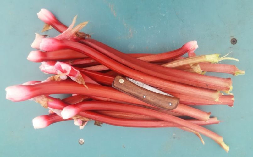 20230428_173417 (2).jpg