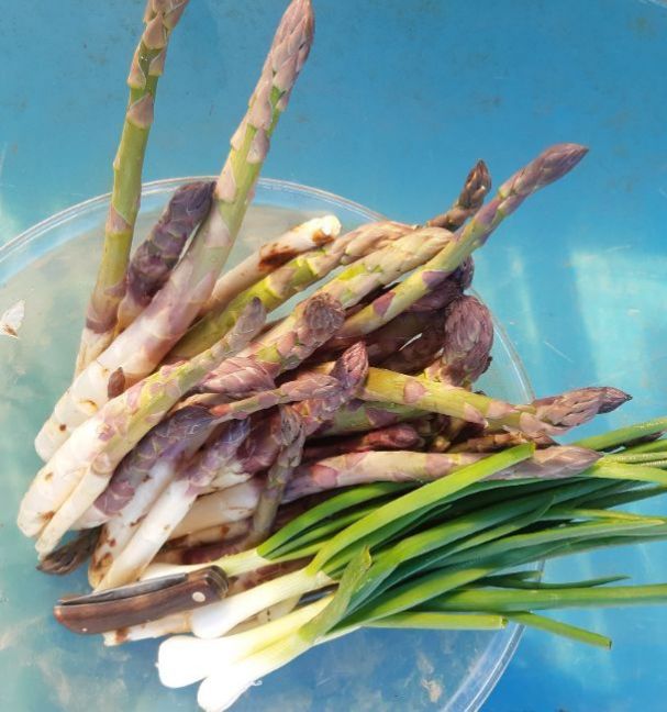 20230430_151659 (2).jpg