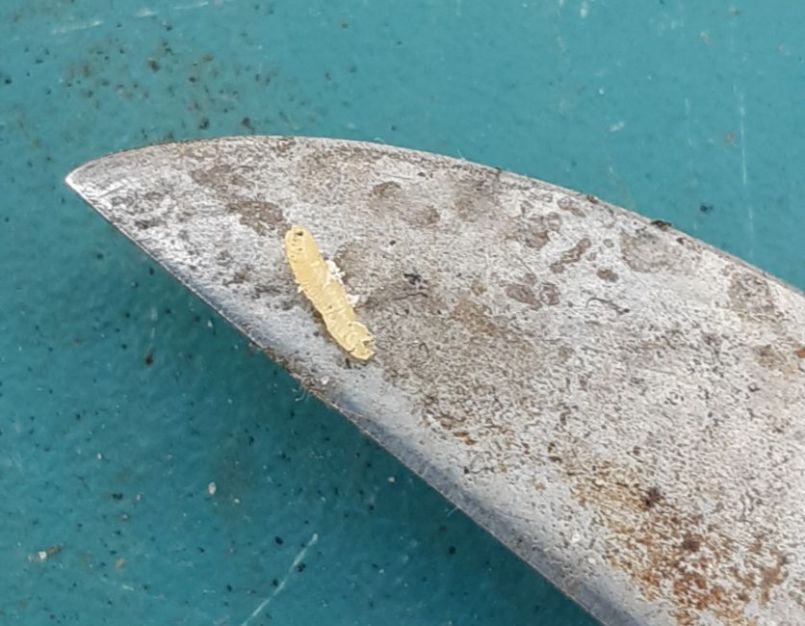 20230501_182053 (2).jpg