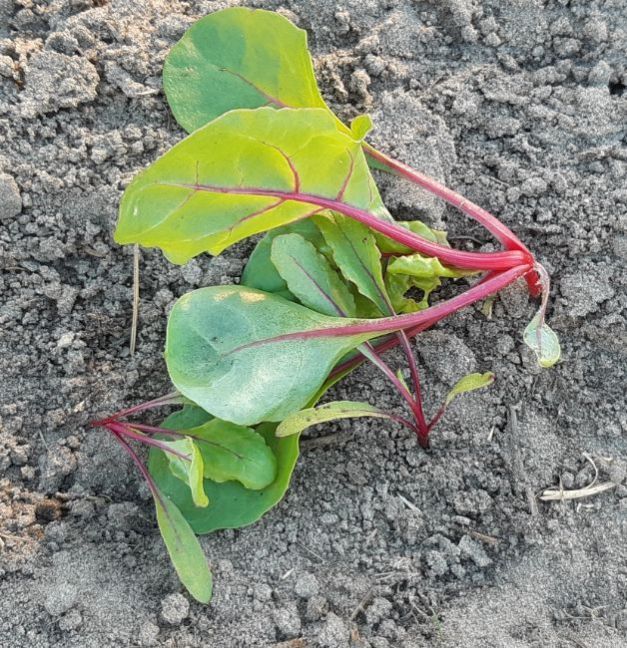 20230502_183441 (2).jpg