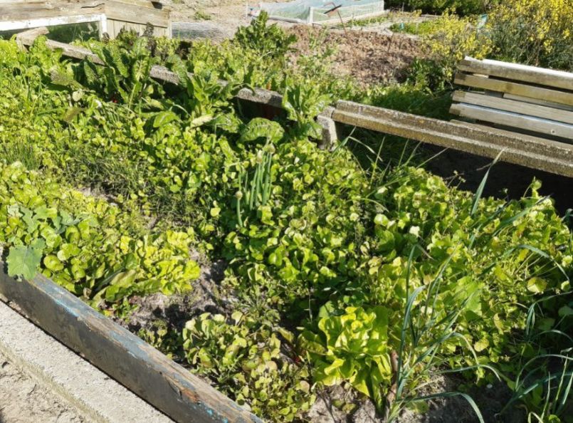 20230503_174956 (2).jpg