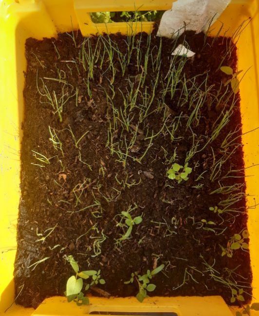 20230503_175018 (2).jpg