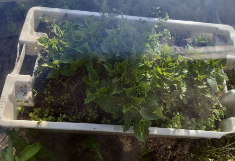 20230503_175027 (2).jpg