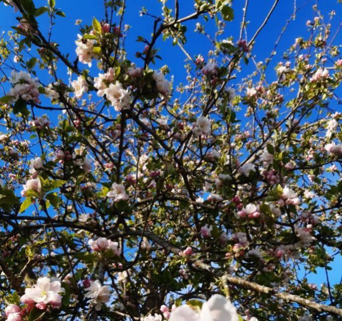 20230503_182527 (2).jpg