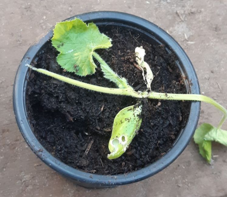 20230503_182617 (2).jpg