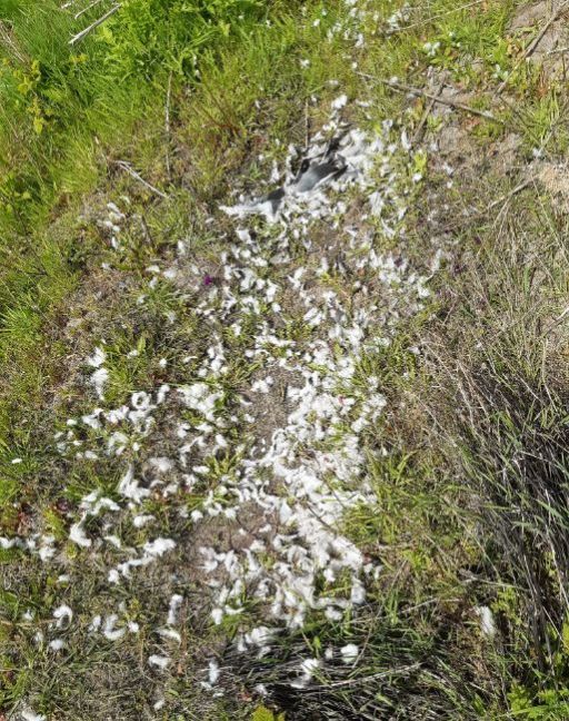 20230504_124337 (2).jpg