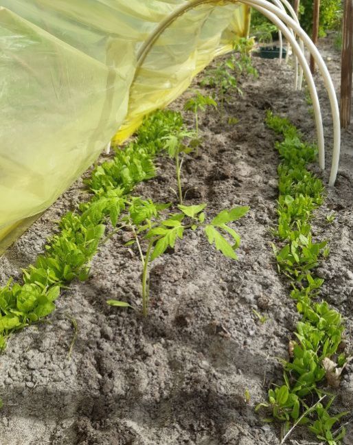 20230504_160138 (2).jpg