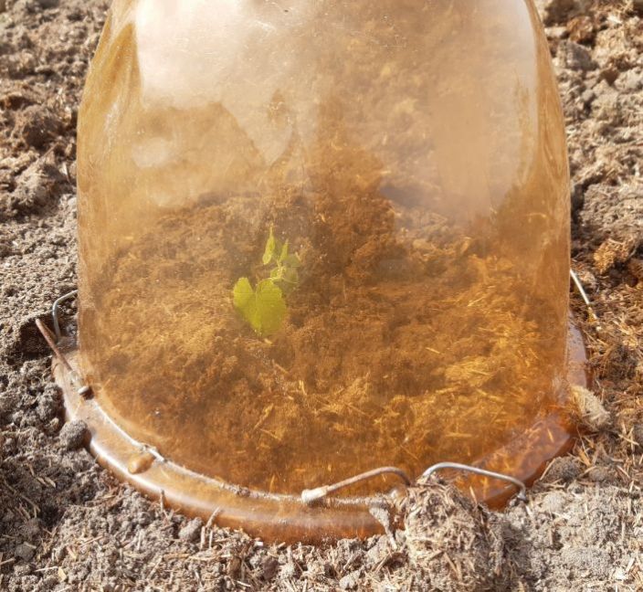 20230504_163151 (2).jpg