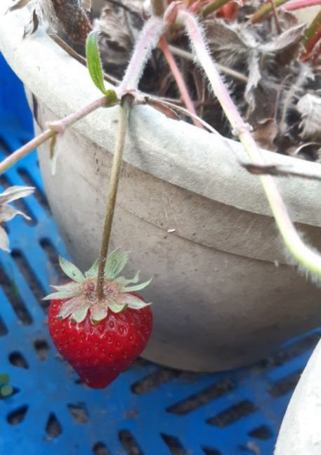 20230521_192442 (2).jpg