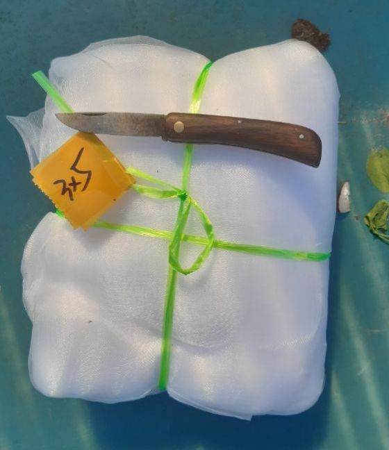 20230522_160905 (2).jpg