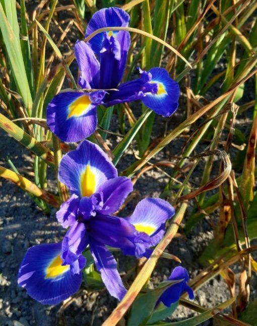 20230522_180115 (2).jpg