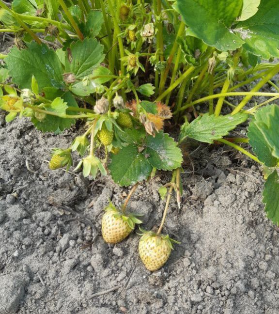 20230523_181143 (2).jpg