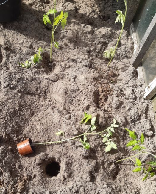 20230525_170137 (2).jpg