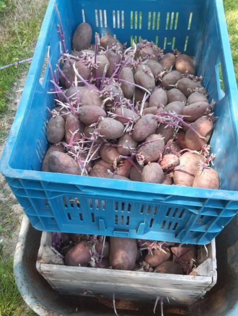 20230609_140729 (2).jpg