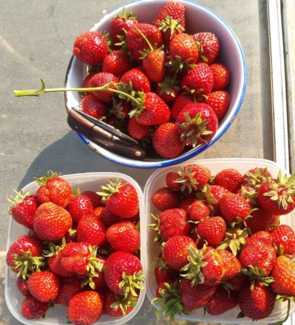 20230609_191352 (2).jpg