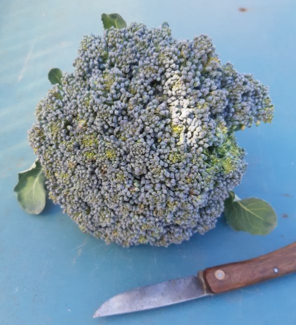 20230610_141527 (2).jpg