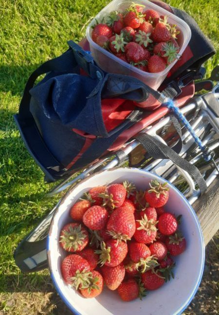 20230610_191800 (2).jpg