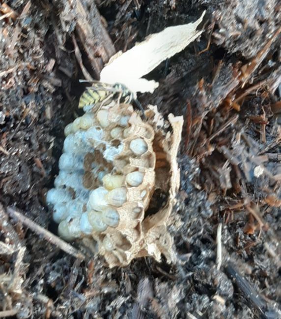 20230610_192654 (2).jpg