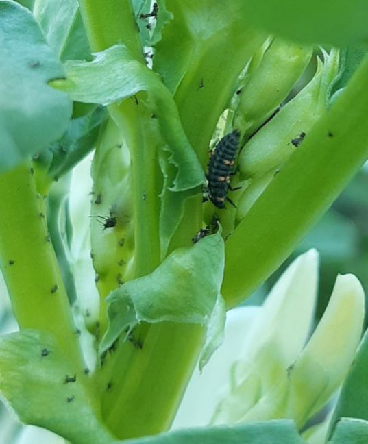 20230611_174352 (2).jpg