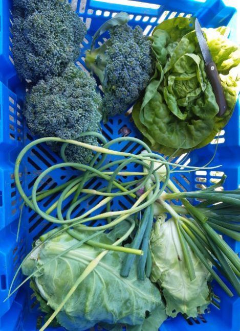 20230613_153238 (2).jpg