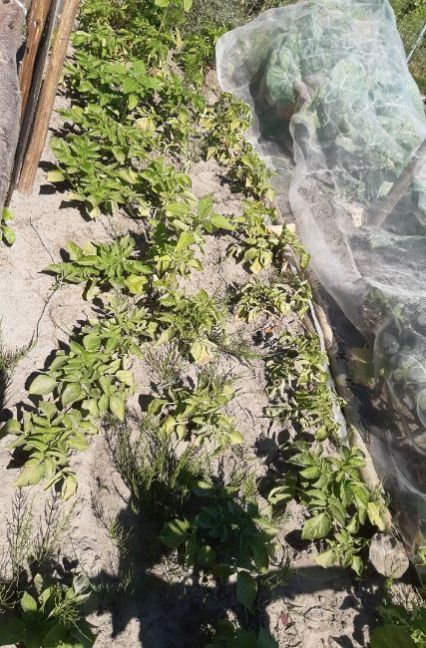 20230613_155718 (2).jpg