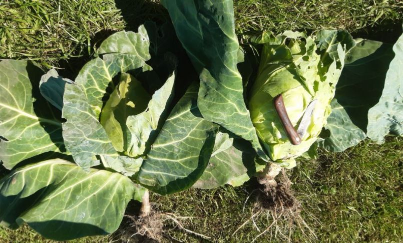 20230614_161109 (2).jpg