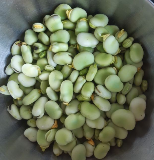 20230614_170438 (2).jpg