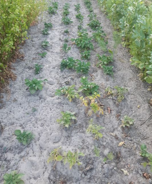 20230614_205934 (2).jpg