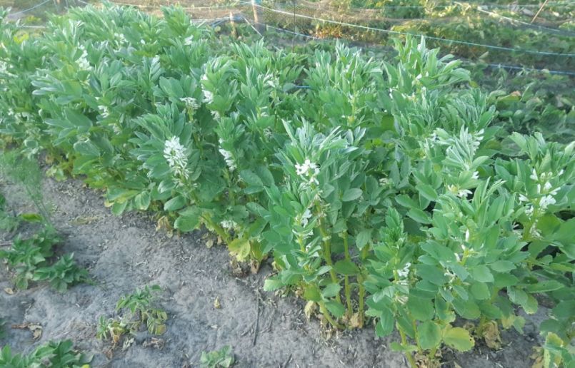 20230614_205937 (2).jpg