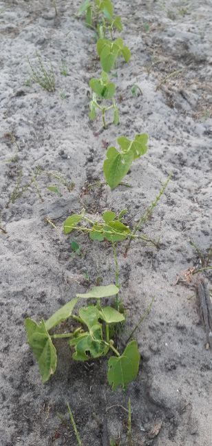 20230614_215359 (2).jpg