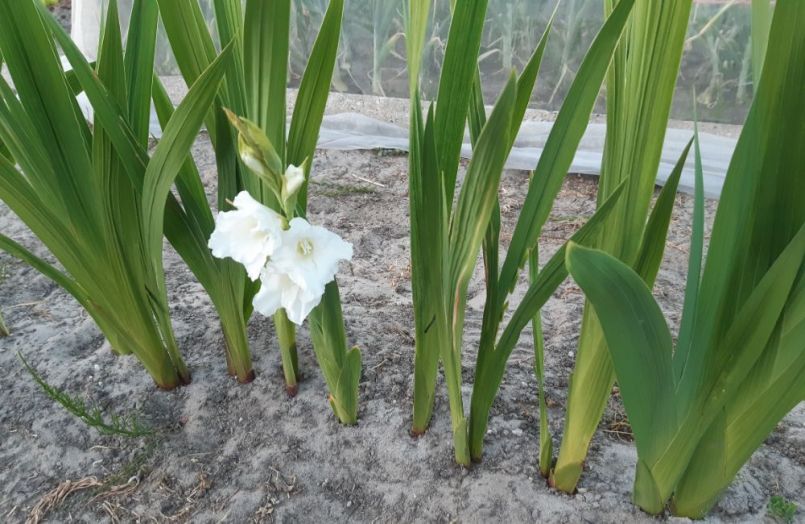 20230614_215441 (2).jpg