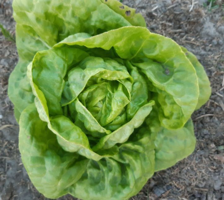 20230614_215454 (2).jpg