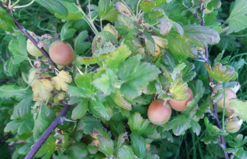 20230614_215521 (2).jpg