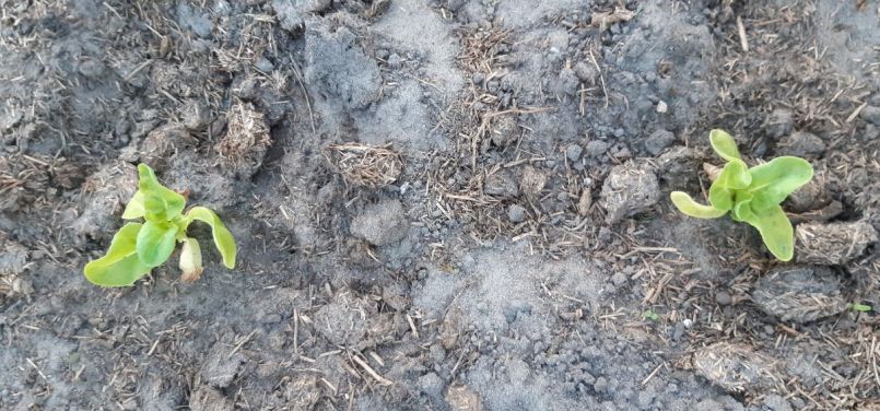 20230614_215755 (2).jpg