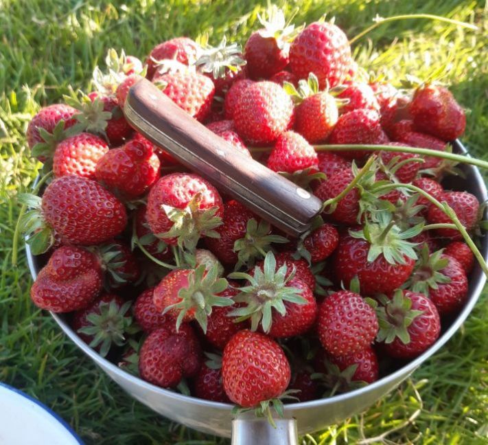 20230616_193739 (2).jpg