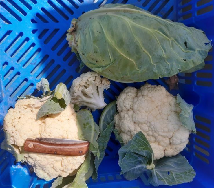 20230617_134800 (2).jpg