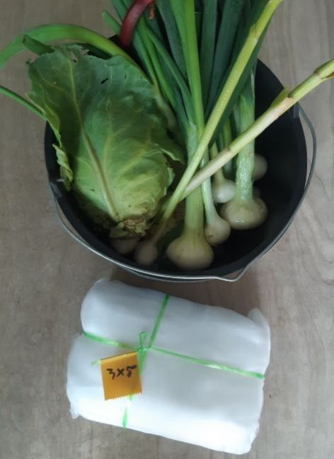 20230617_155737 (2).jpg