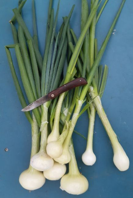 20230618_164855 (2).jpg