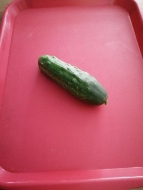 20230614eerstekomkommer.thumb.jpg.25997b4b006a1ad084d29527f78776c4.jpg