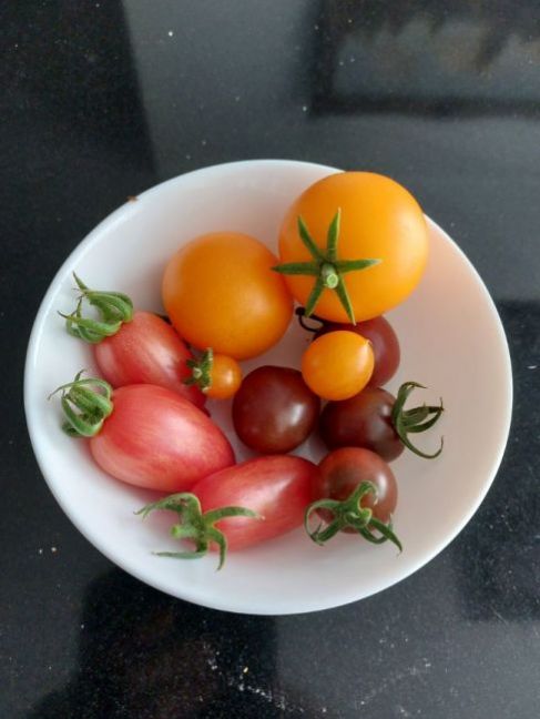 20230708_164445.jpg
