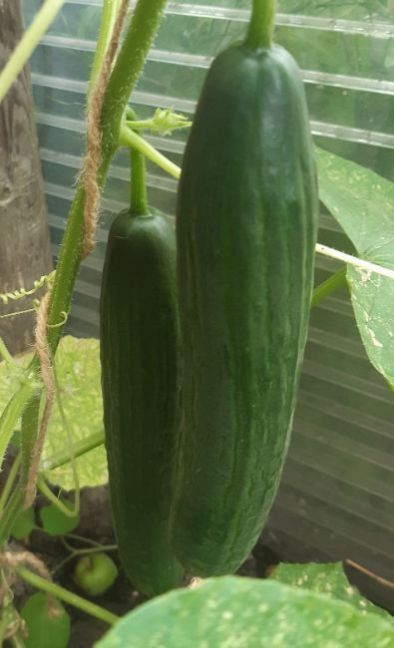 20230714_142052 (2).jpg