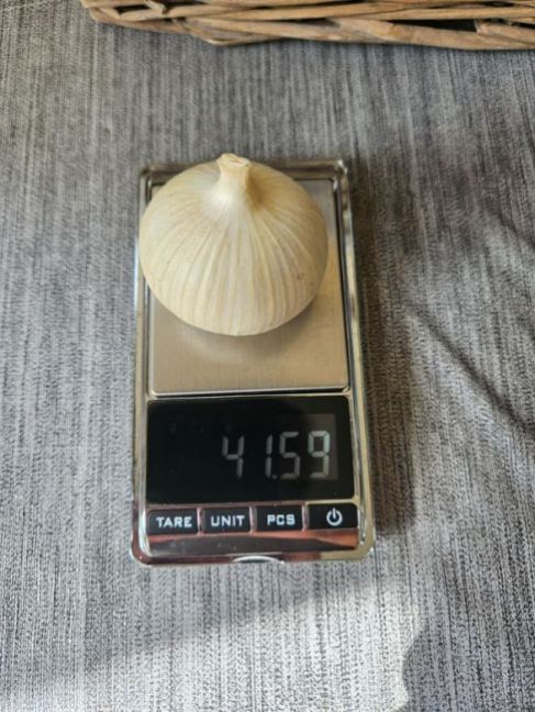 20230717_171948.jpg