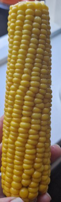 20230720_184123.jpg