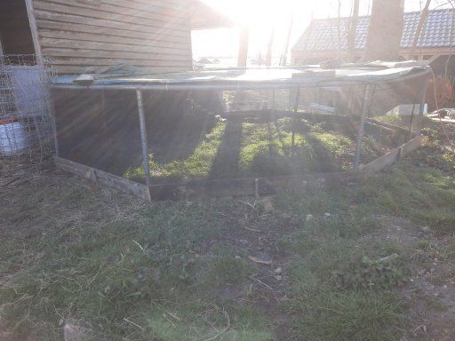 trampolineerondermoestuin.jpg.2de8aac10e0a2c37175e7e9fc700bc7b.jpg