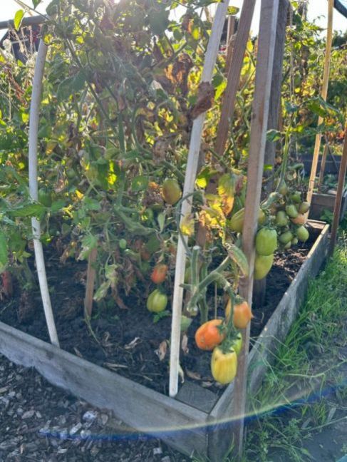 Foto 15-08-2023 18 48 10.jpg