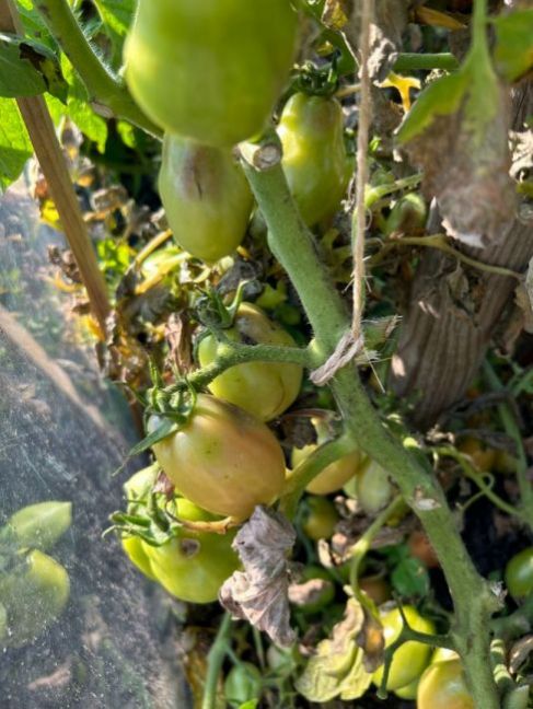 Foto 15-08-2023 18 48 41.jpg