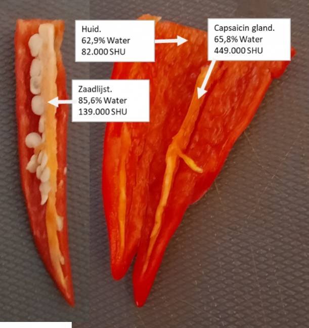 image.thumb.png.da438f3f124175a37cca86bf43266737.png