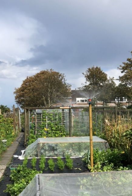 moestuin.thumb.jpg.4df4f27dbdfdff6f27601e0f419155df.jpg